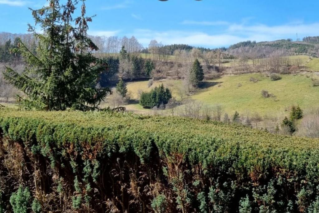 Ferienwohnung Aartalblick Willingen فيلنغن المظهر الخارجي الصورة