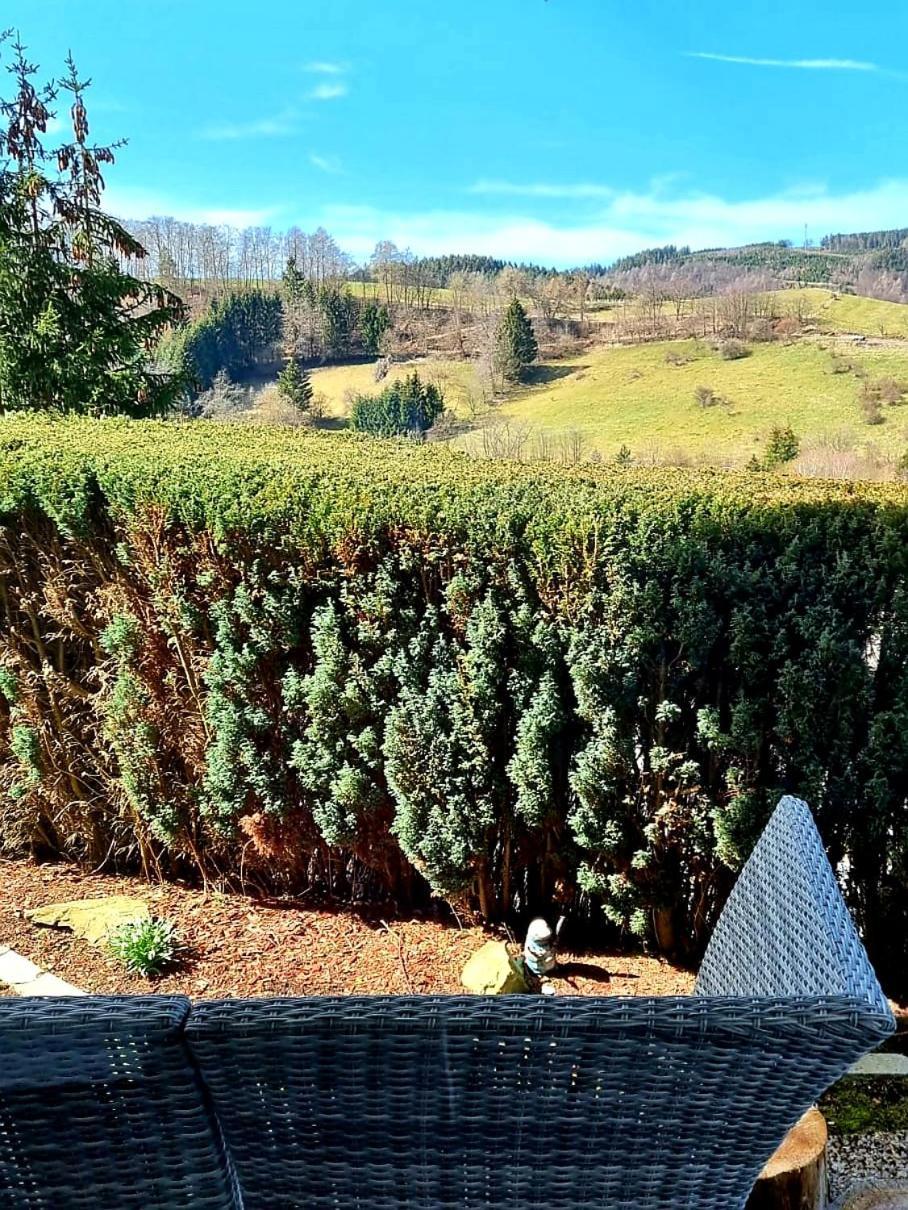 Ferienwohnung Aartalblick Willingen فيلنغن المظهر الخارجي الصورة